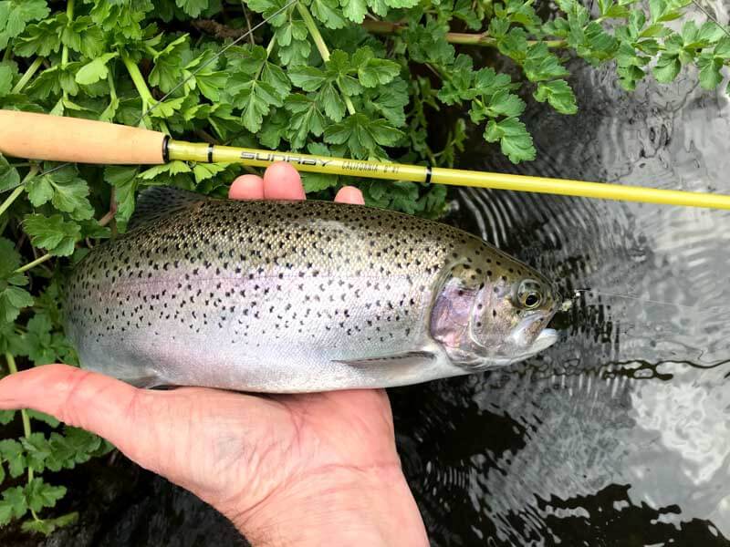 Tackle & Technique developments in fly fishing