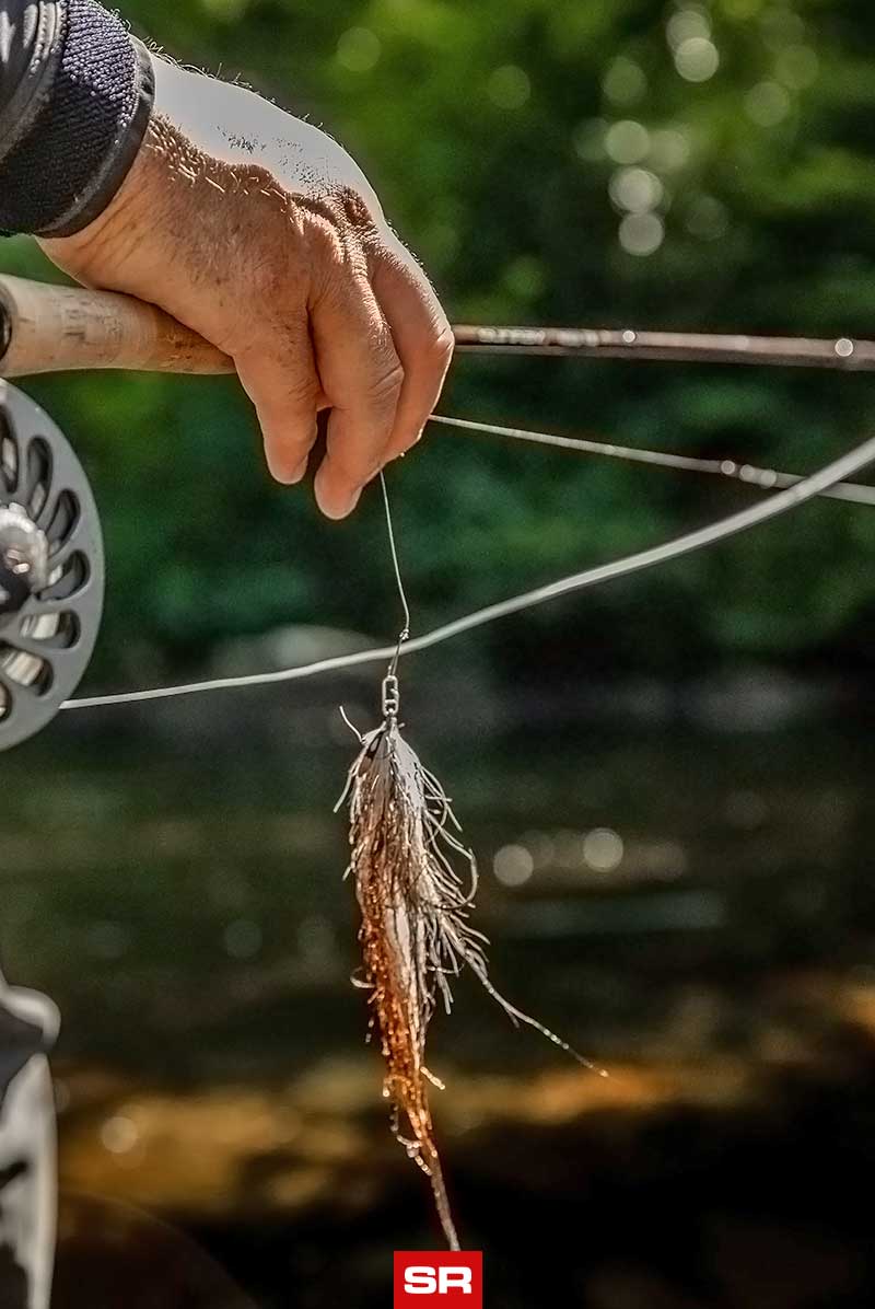 Predator Fly Rod Full Outfit