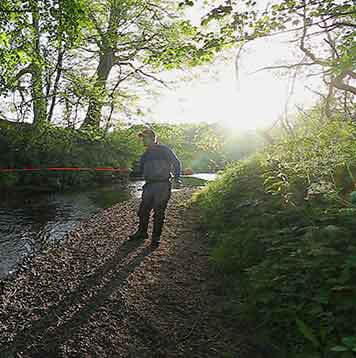 Episode 6 - Trout under a motorway