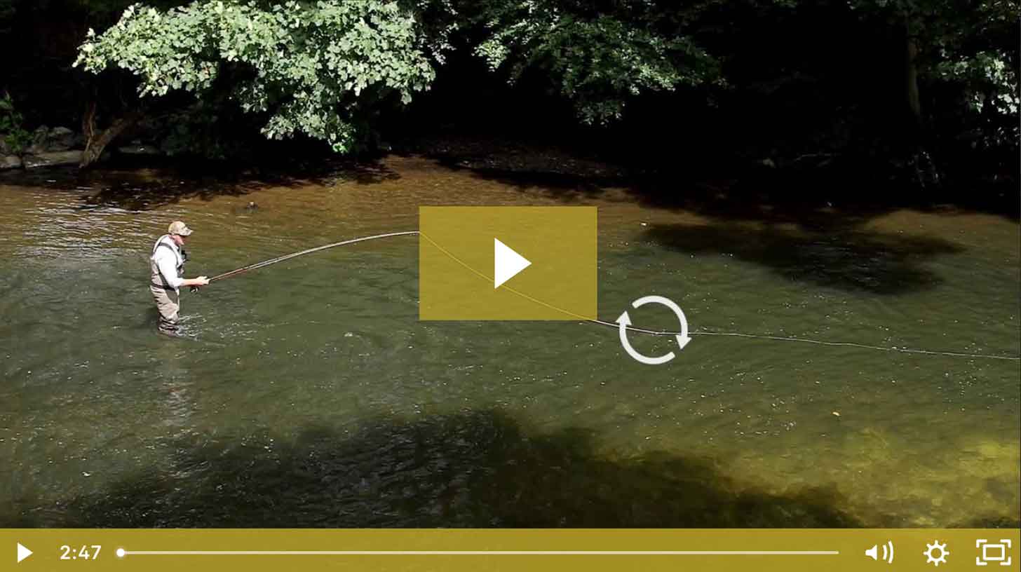 Stop & Drop. Improve Your Casting | Sunray Fly Casting Masterclass