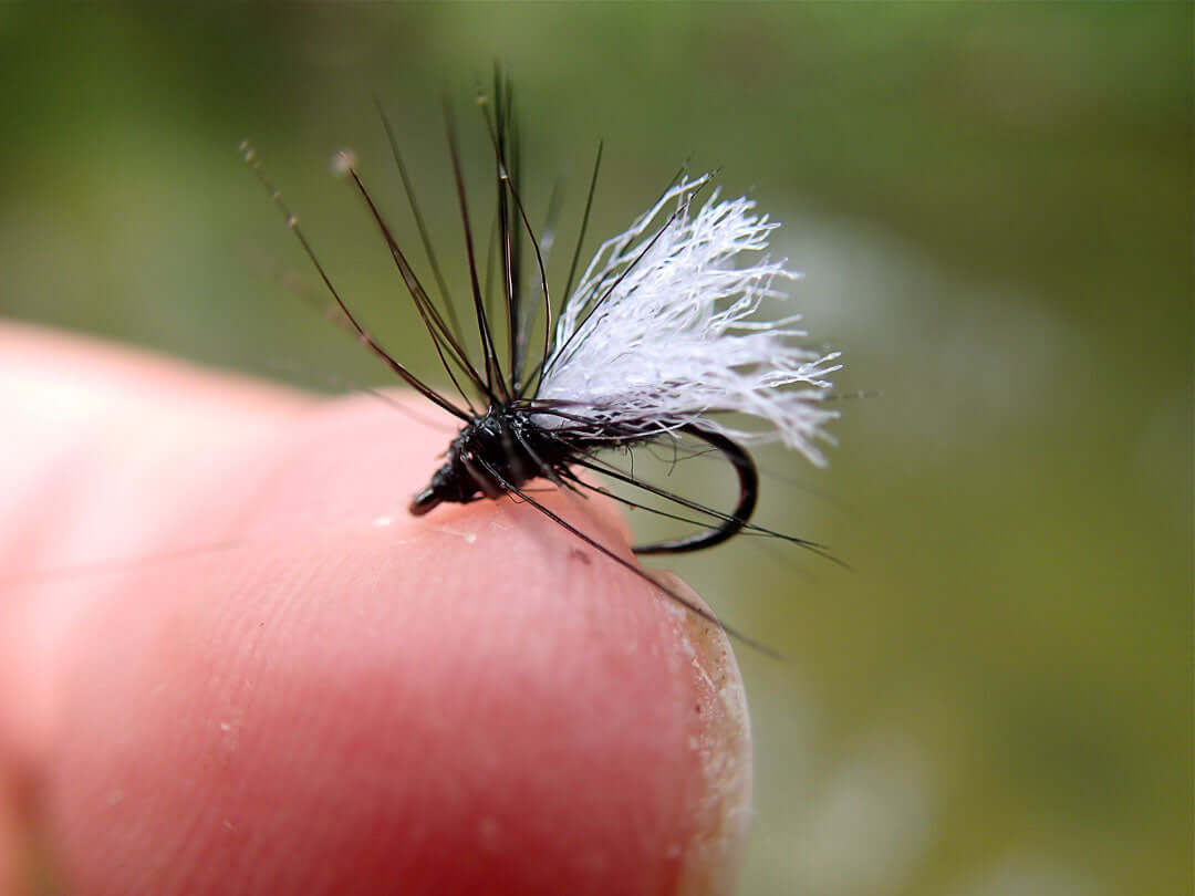 Black Gnat Dry Fly Imitation for Dance Flies