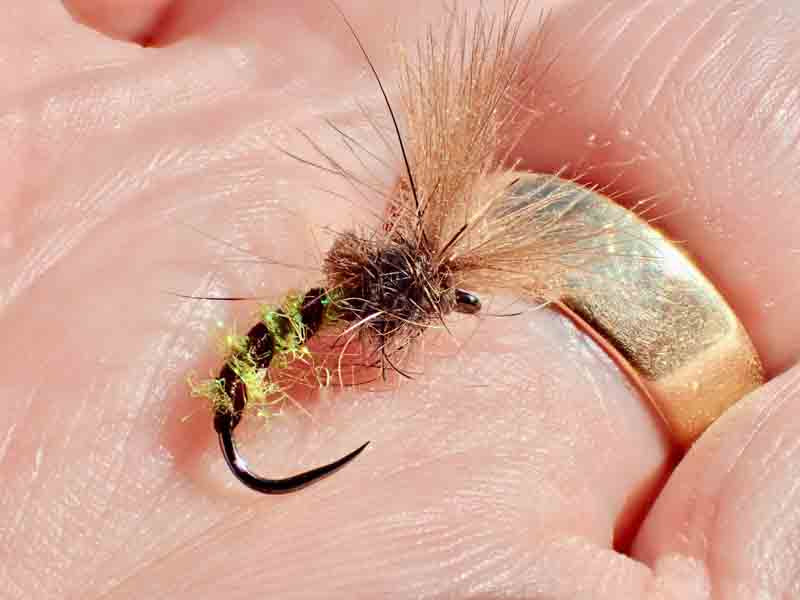 Movement in your fly when fishing dry fly. Give it a twitch!