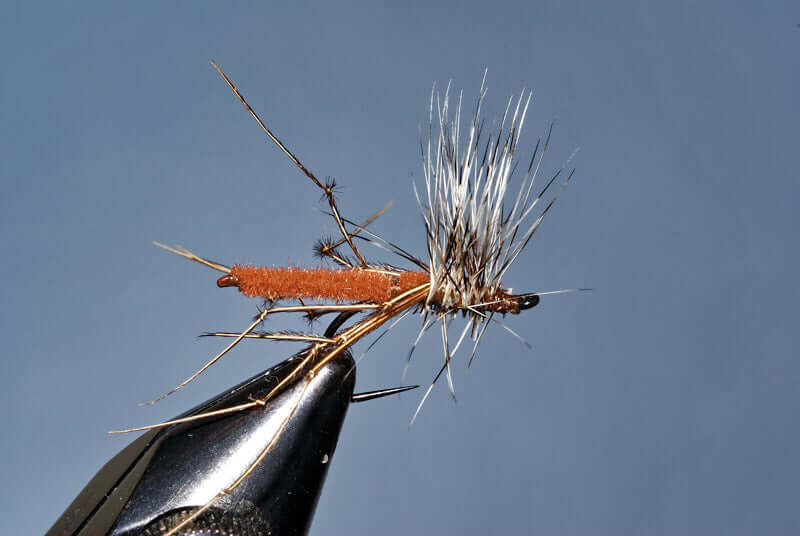 Daddy Long Legs - The Daddy of Dry Flies