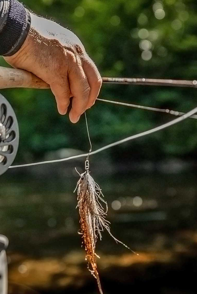 Predator Fly Rod Full Outfit